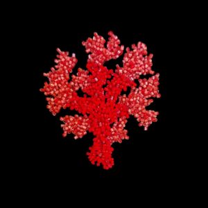 broche Trovelore corail