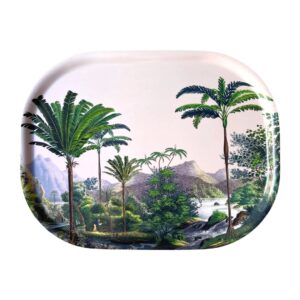 plateau Manicaria
