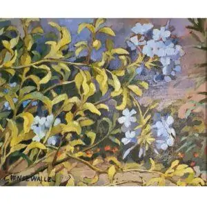 Claude Van de Walle N9 Branches de Plumbago