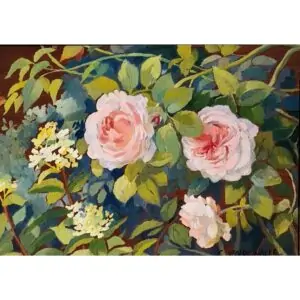 Claude Van de Walle N12 Roses St Swithun et hydrangéas