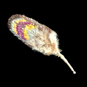 broche Trovelore plume d'oiseau